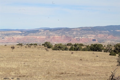 TRACT 5-C La Joya - Nm 96, Youngsville, NM 87604 - photo 7