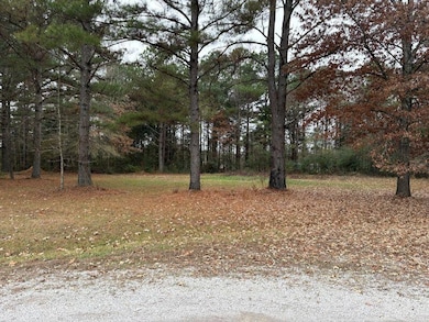 Tract 1 White Oak Ln, Guntown, MS 38849 - photo 3