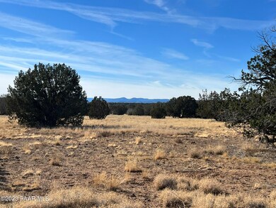 43 Tides Trail, Ash Fork, AZ 86320 - photo 6