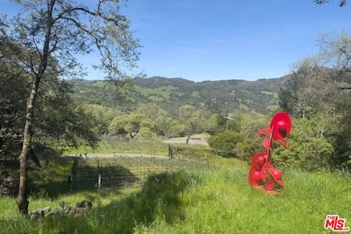 351 Wall Rd, Napa, CA 94558 - photo 2