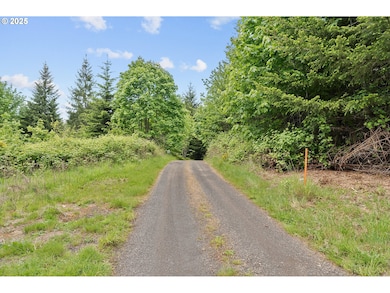 0 NW Pumpkin Ridge Rd, Northplains, OR 97133 - photo 4