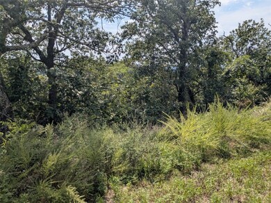 25 Cypress Point Ln, Eureka Springs, AR 72631 - photo 4