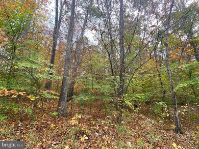 17134 Arrow Point Dr, Orange, VA 22960 - photo 4