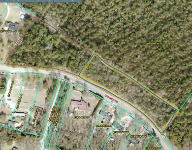 GIS Screenshot Tract 1B