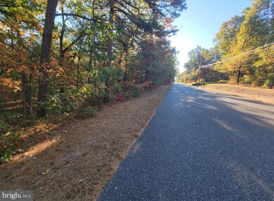 3538 Reading Ave, Batsto, NJ 08037 - photo 2