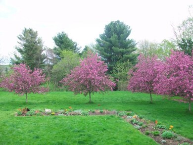 103 John St, Shelburne, VT 05482 - photo 3