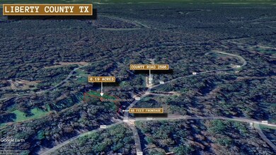 County Road 2506, Liberty, TX 77575 - photo 4