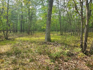 00 N Beaver Trail, Lilley Township, MI 49309 - photo 3