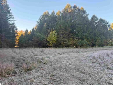 12069 S Bright Rd, Maple City, MI 49664 - photo 4