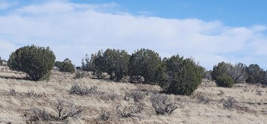 639 Westwood Ranch, Ash Fork, AZ 86320 - photo 5