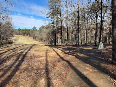 Lot 325 Deer Run, Drasco, AR 72530 - photo 4