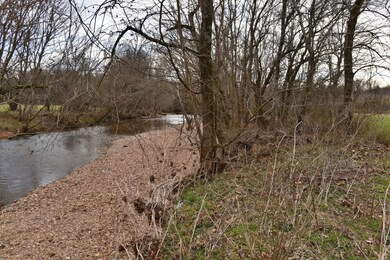 565 Cedar Creek Rd, Linden, TN 37096 - photo 2