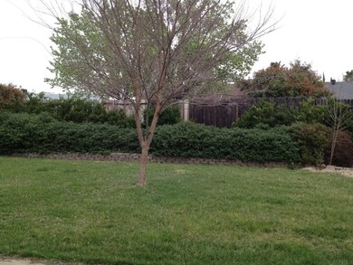 Very Nice Back Yard