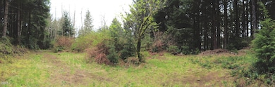 Level Building site