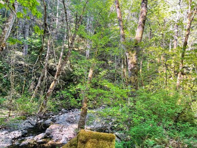 38.62 Granite Hill Rd, Grants Pass, OR 97526 - photo 7