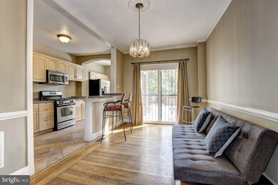 534 Irving St NW, Washington, DC 20010 - photo 6