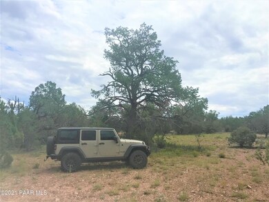 182 SW Un Named Rd Off of Cooks Trail, Ash Fork, AZ 86320 - photo 4