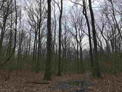 000 Highway 61, Rolling Fork, MS 39159 - photo 3