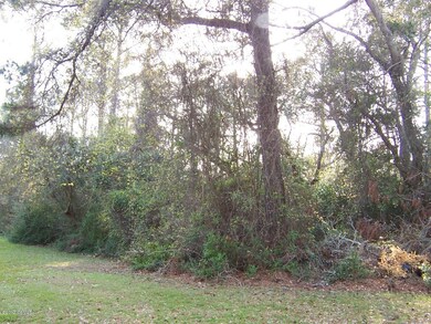 Lot is wooded