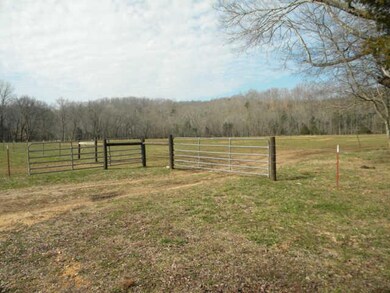 3599 Phillips Chapel Rd, Waynesboro, TN 38485 - photo 4