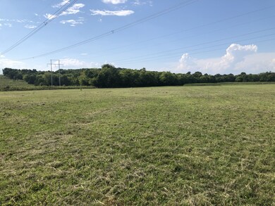 6A Sparta Pike, Lebanon, TN 37090 - photo 3