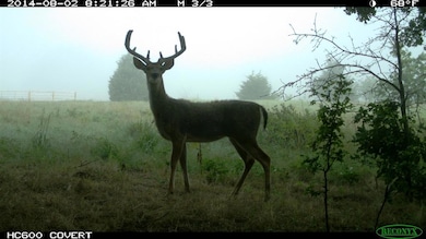 495 Arkansas Rd, Sadler, TX 76264 - photo 7