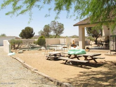 Back Yard Area