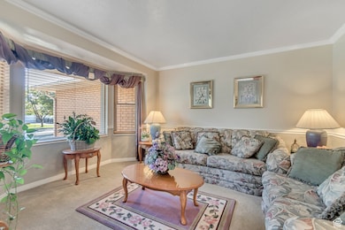 Living area with ornamental molding and carpet flooring