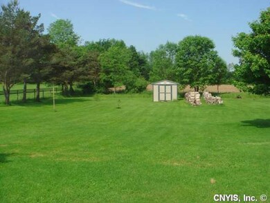Yard/Garden Shed, and free firewood!