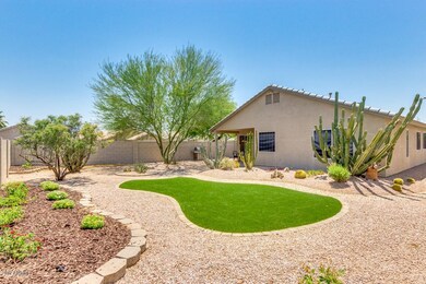 Nicely Landscape Yard