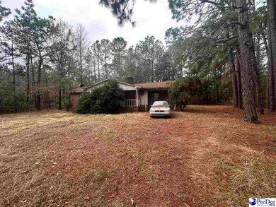 53 Drylog Ave, Kingstree, SC 29556 - photo 5