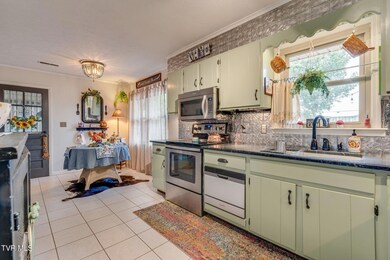 117 Morgan Ln, Fall Branch, TN 37656 - photo 7