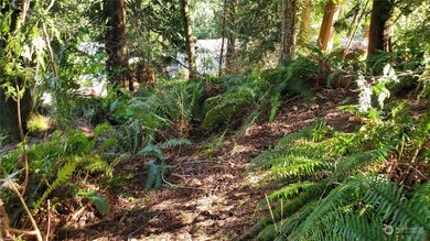 750 West Rd, Sedro Woolley, WA 98284 - photo 7