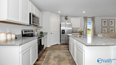 399 Jackson Point Cir, Huntsville, AL 35811 - photo 3