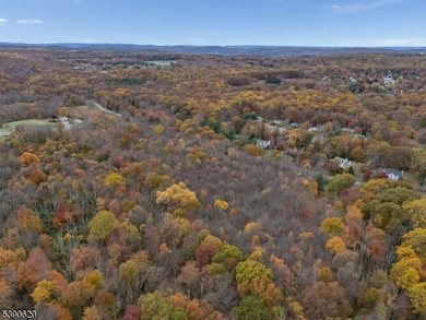 117 E Springtown Rd, Washington Township, NJ 07853 - photo 7