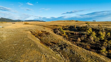 TBD Crow Ln unit Lot 61, Banner, WY 82832 - photo 4