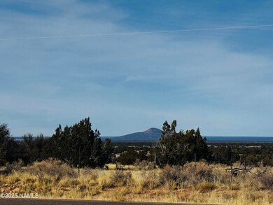 US HWY 180 4 lots Photo 26