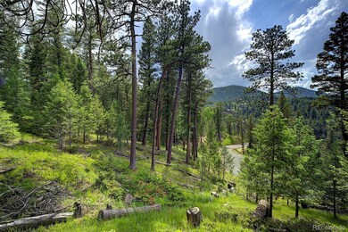 6875 Lynx Lair Rd unit 47, Evergreen, CO 80439 - photo 6