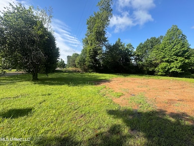 7231 N Hamilton Cir, Olive Branch, MS 38654 - photo 3