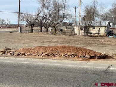 1002 E Empire St, Cortez, CO 81321 - photo 7
