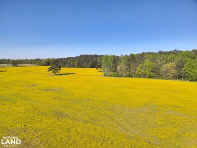 0 Parker Rd unit 25194062, Athens, AL 35614 - photo 7