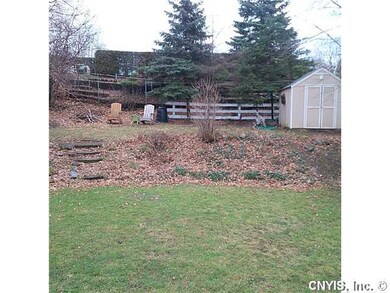 Backyard. ...fully fenced backyard with shed.... a
