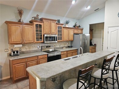 1369 W Diamond Shore Loop, Hernando, FL 34442 - photo 4