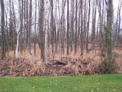 Admire nature instead of neighbors!