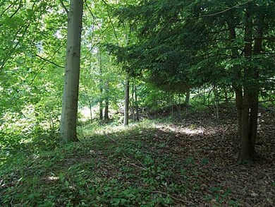 0 Sugar Grove Rd unit 213018656, Sugar Grove, OH 43155 - photo 3