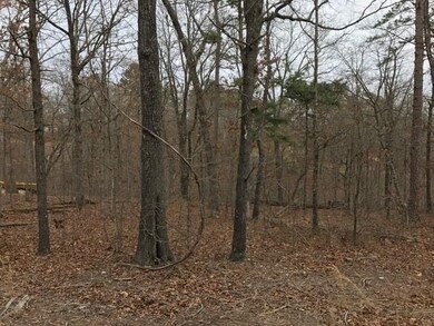 0 Frekleton Ln unit 1041589, Bella Vista, AR 72714 - photo 3