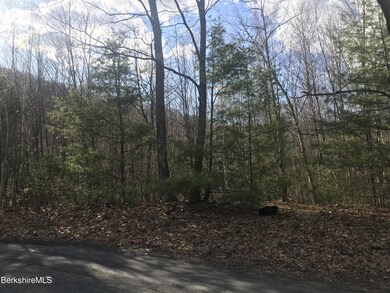 unlisted-address, Great Barrington, MA 01230 - photo 5