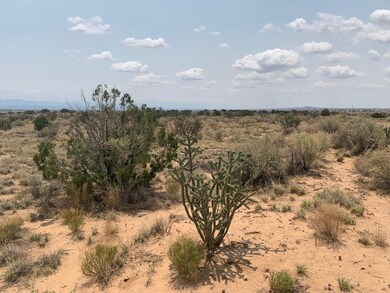 416 26th St NW, Albuquerque, NM 87124 - photo 3