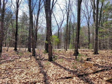 0 Timber Trail unit C, South Berwick, ME 03908 - photo 7