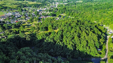 TBD Richardson St, Lebanon, VA 24266 - photo 5